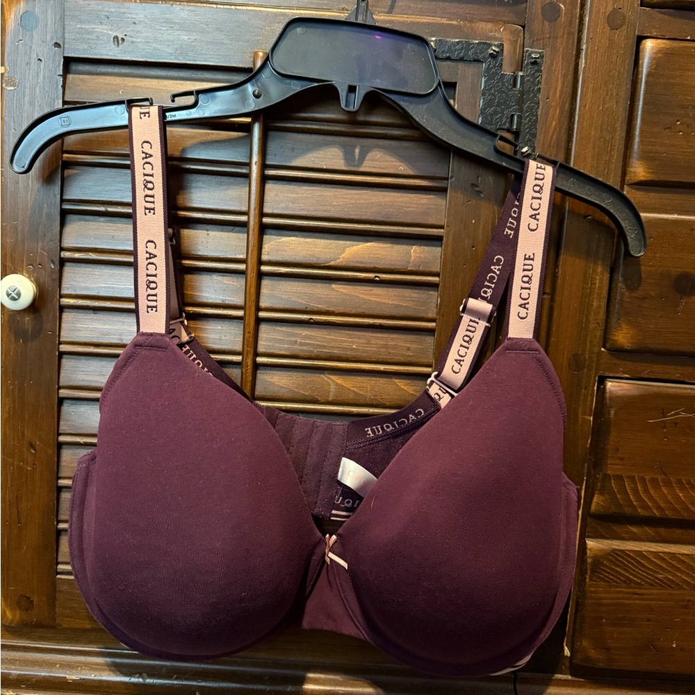 Cacique Deep Wine Bra with Logo Straps
